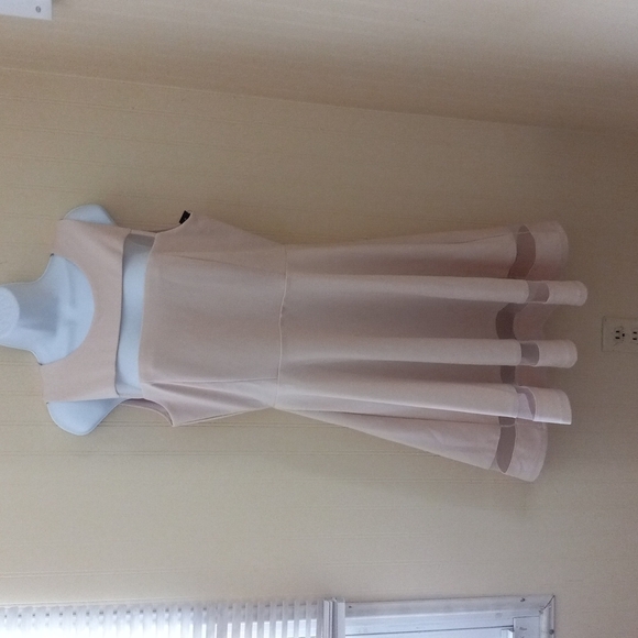 Lulus Dresses & Skirts - NWT Lulus Sheer Determination Mesh Skater Dress Sleeveless Peach  Size XL